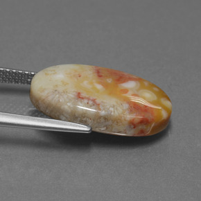 8.82カラットの天然マルチカラー化石サンゴ、オーバルカット、オペーク