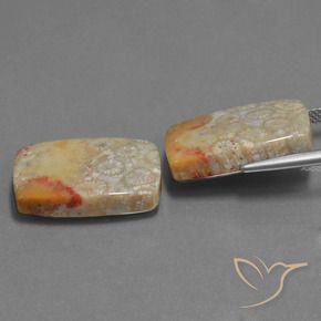 Shop natural 29.41ct マルチカラー 化石サンゴ gems, クッション, from インドネシア at GemSelect. In stock, global shipping!