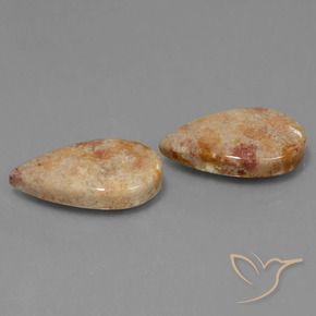 Shop natural 22.64ct マルチカラー 化石サンゴ gems, 洋梨の形, from インドネシア at GemSelect. In stock, global shipping!