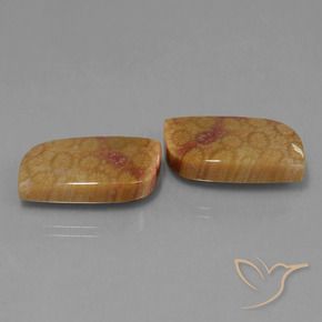 Shop natural 28.06ct マルチカラー 化石サンゴ gems, ファンシー, from インドネシア at GemSelect. In stock, global shipping!