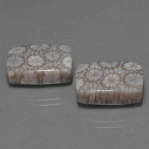 自然派の商品を探す ct マルチカラー 化石サンゴ 宝石, クッションカット, インドネシア からGemSelectで. 在庫あり、世界各国へ発送!