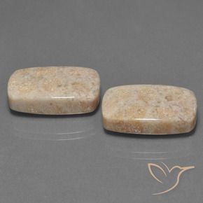 Shop natural 30.16ct マルチカラー 化石サンゴ gems, クッション, from インドネシア at GemSelect. In stock, global shipping!