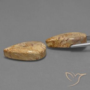 Shop natural 25.79ct マルチカラー 化石サンゴ gems, 洋梨の形, from インドネシア at GemSelect. In stock, global shipping!