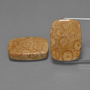 自然派の商品を探す ct マルチカラー 化石サンゴ 宝石, クッションカット, インドネシア からGemSelectで. 在庫あり、世界各国へ発送!