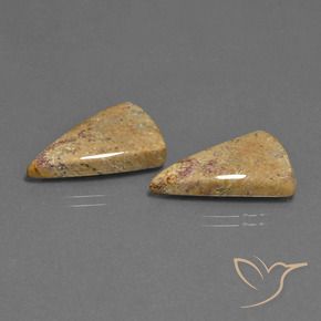 Shop natural 16.43ct マルチカラー 化石サンゴ gems, トリリオン, from インドネシア at GemSelect. In stock, global shipping!