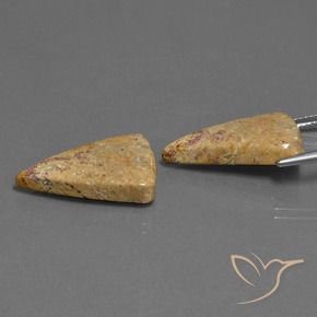 Shop natural 16.43ct マルチカラー 化石サンゴ gems, トリリオン, from インドネシア at GemSelect. In stock, global shipping!