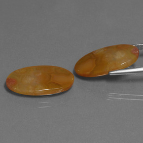 自然派の商品を探す ct マルチカラー 化石サンゴ 宝石, オーバルカット, インドネシア からGemSelectで. 在庫あり、世界各国へ発送!