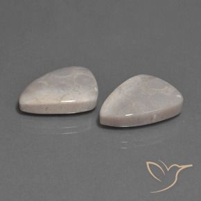Shop natural 23.12ct マルチカラー 化石サンゴ gems, トリリオン, from インドネシア at GemSelect. In stock, global shipping!