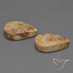 Shop natural 33.44ct マルチカラー 化石サンゴ gems, 洋梨の形, from インドネシア at GemSelect. In stock, global shipping!