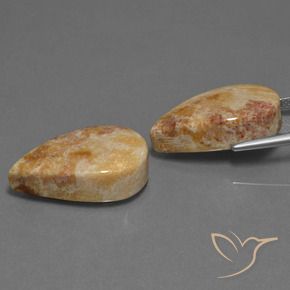Shop natural 33.44ct マルチカラー 化石サンゴ gems, 洋梨の形, from インドネシア at GemSelect. In stock, global shipping!