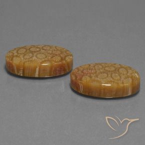 Shop natural 37.37ct マルチカラー 化石サンゴ gems, 楕円形, from インドネシア at GemSelect. In stock, global shipping!