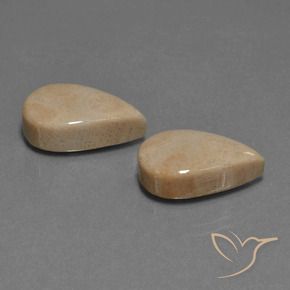 Shop natural 17.01ct マルチカラー 化石サンゴ gems, 洋梨の形, from インドネシア at GemSelect. In stock, global shipping!