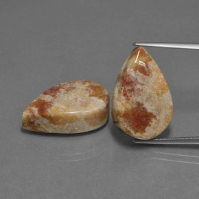 自然派の商品を探す ct マルチカラー 化石サンゴ 宝石, 洋梨の形, インドネシア からGemSelectで. 在庫あり、世界各国へ発送!