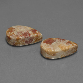 自然派の商品を探す ct マルチカラー 化石サンゴ 宝石, 洋梨の形, インドネシア からGemSelectで. 在庫あり、世界各国へ発送!