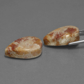 自然派の商品を探す ct マルチカラー 化石サンゴ 宝石, 洋梨の形, インドネシア からGemSelectで. 在庫あり、世界各国へ発送!