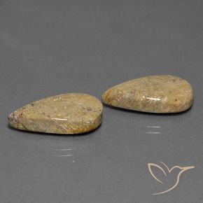 Shop natural 17.13ct マルチカラー 化石サンゴ gems, 洋梨の形, from インドネシア at GemSelect. In stock, global shipping!