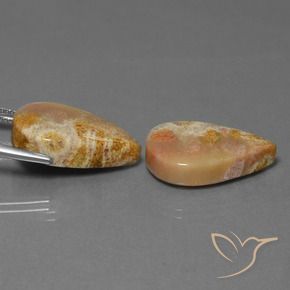 Shop natural 27.92ct マルチカラー 化石サンゴ gems, 洋梨の形, from インドネシア at GemSelect. In stock, global shipping!