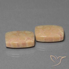 Shop natural 24.97ct マルチカラー 化石サンゴ gems, クッション, from インドネシア at GemSelect. In stock, global shipping!