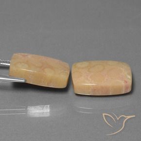 Shop natural 24.97ct マルチカラー 化石サンゴ gems, クッション, from インドネシア at GemSelect. In stock, global shipping!