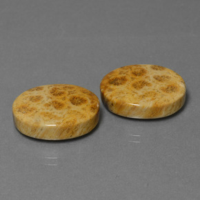 自然派の商品を探す ct マルチカラー 化石サンゴ 宝石, オーバルカット, インドネシア からGemSelectで. 在庫あり、世界各国へ発送!