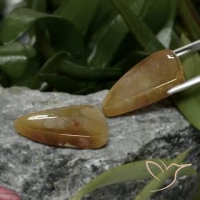 Shop natural 22.09ct マルチカラー 化石サンゴ gems, ファンシー, from インドネシア at GemSelect. In stock, global shipping!