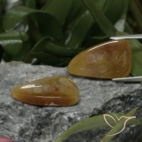 Shop natural 22.09ct マルチカラー 化石サンゴ gems, ファンシー, from インドネシア at GemSelect. In stock, global shipping!