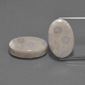 自然派の商品を探す ct マルチカラー 化石サンゴ 宝石, オーバルカット, インドネシア からGemSelectで. 在庫あり、世界各国へ発送!