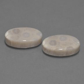 自然派の商品を探す ct マルチカラー 化石サンゴ 宝石, オーバルカット, インドネシア からGemSelectで. 在庫あり、世界各国へ発送!