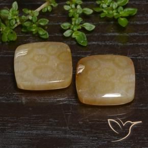 Shop natural 26.38ct マルチカラー 化石サンゴ gems, クッション, from インドネシア at GemSelect. In stock, global shipping!