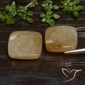 Shop natural 26.38ct マルチカラー 化石サンゴ gems, クッション, from インドネシア at GemSelect. In stock, global shipping!
