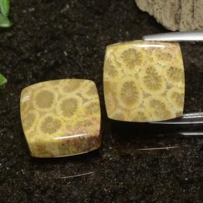 自然派の商品を探す 22.09ct マルチカラー 化石サンゴ 宝石, 四角形, インドネシア からGemSelectで. 在庫あり、世界各国へ発送!