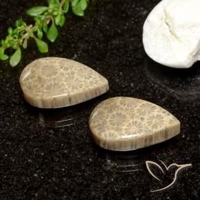 Shop natural 26.61ct マルチカラー 化石サンゴ gems, 洋梨の形, from インドネシア at GemSelect. In stock, global shipping!