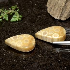 自然派の商品を探す 28.50ct マルチカラー 化石サンゴ 宝石, 洋梨の形, インドネシア からGemSelectで. 在庫あり、世界各国へ発送!