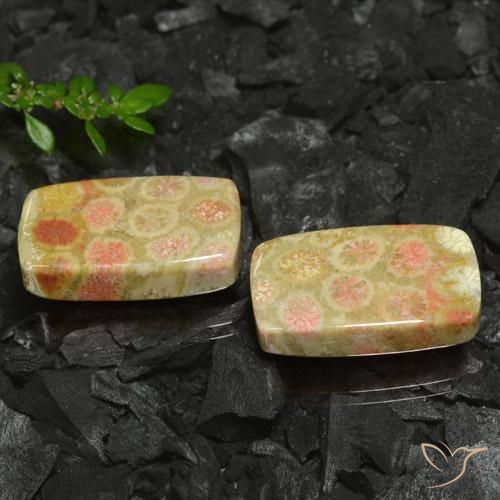 Shop natural 35.26ct マルチカラー 化石サンゴ gems, クッション, from インドネシア at GemSelect. In stock, global shipping!