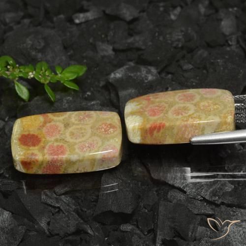 Shop natural 35.26ct マルチカラー 化石サンゴ gems, クッション, from インドネシア at GemSelect. In stock, global shipping!