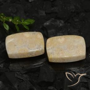 Shop natural 30.12ct マルチカラー 化石サンゴ gems, クッション, from インドネシア at GemSelect. In stock, global shipping!