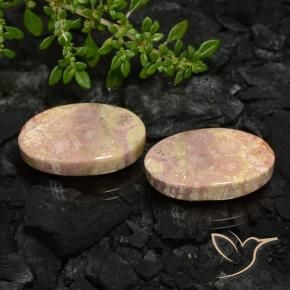 Shop natural 22.59ct マルチカラー 化石サンゴ gems, 楕円形, from インドネシア at GemSelect. In stock, global shipping!