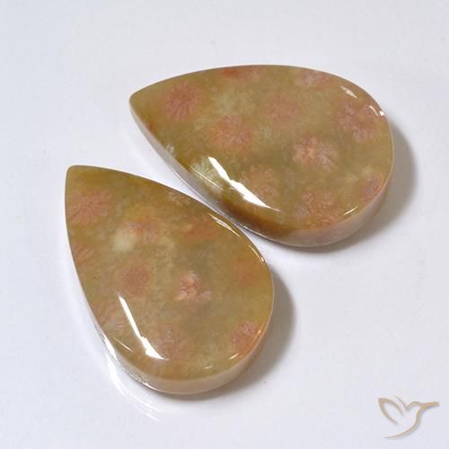 Shop natural 26.41ct マルチカラー 化石サンゴ gems, 洋梨の形, from インドネシア at GemSelect. In stock, global shipping!