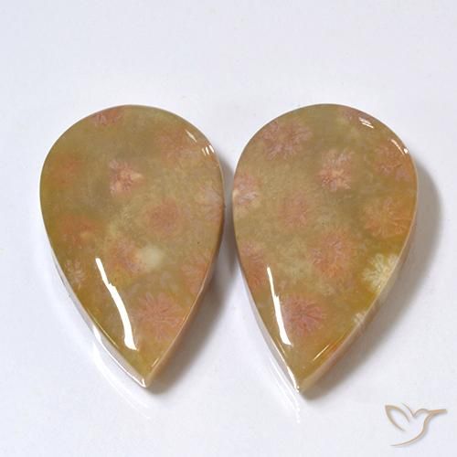Shop natural 26.41ct マルチカラー 化石サンゴ gems, 洋梨の形, from インドネシア at GemSelect. In stock, global shipping!