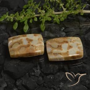 Shop natural 28.19ct マルチカラー 化石サンゴ gems, クッション, from インドネシア at GemSelect. In stock, global shipping!