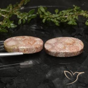 Shop natural 19.81ct マルチカラー 化石サンゴ gems, 楕円形, from インドネシア at GemSelect. In stock, global shipping!