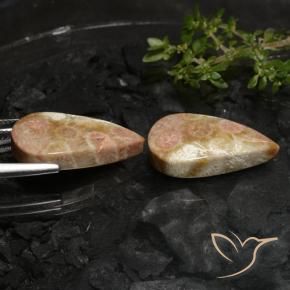 Shop natural 27.69ct マルチカラー 化石サンゴ gems, 洋梨の形, from インドネシア at GemSelect. In stock, global shipping!