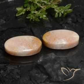 Shop natural 22.59ct マルチカラー 化石サンゴ gems, 楕円形, from インドネシア at GemSelect. In stock, global shipping!