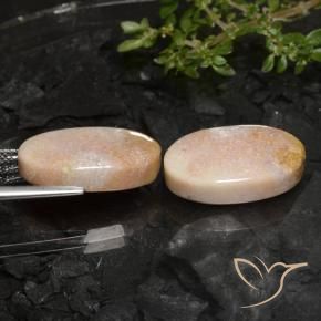 Shop natural 22.59ct マルチカラー 化石サンゴ gems, 楕円形, from インドネシア at GemSelect. In stock, global shipping!