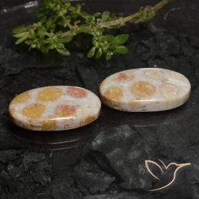 Shop natural 22.45ct マルチカラー 化石サンゴ gems, 楕円形, from インドネシア at GemSelect. In stock, global shipping!