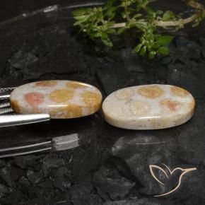 Shop natural 22.45ct マルチカラー 化石サンゴ gems, 楕円形, from インドネシア at GemSelect. In stock, global shipping!