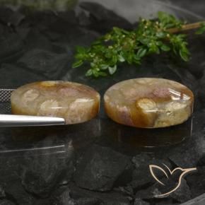 Shop natural 33.89ct マルチカラー 化石サンゴ gems, 楕円形, from インドネシア at GemSelect. In stock, global shipping!