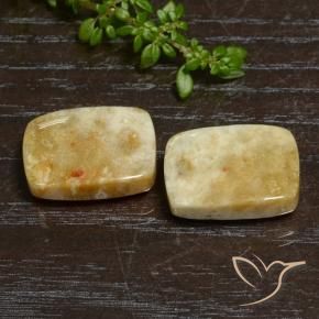 Shop natural 21.65ct マルチカラー 化石サンゴ gems, クッション, from インドネシア at GemSelect. In stock, global shipping!
