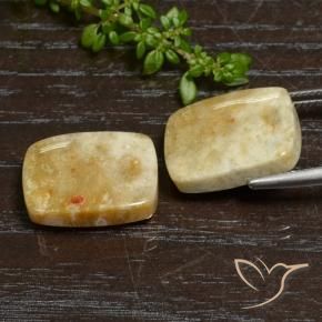 Shop natural 21.65ct マルチカラー 化石サンゴ gems, クッション, from インドネシア at GemSelect. In stock, global shipping!