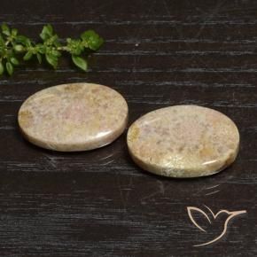 Shop natural 29.83ct マルチカラー 化石サンゴ gems, 楕円形, from インドネシア at GemSelect. In stock, global shipping!